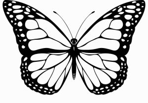 Print butterfly Coloring Pages Free Printable butterfly Coloring Pages for Kids
