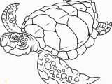 Printable Animal Coloring Pages Pdf 28 Collection Of Ocean Coloring Pages Pdf