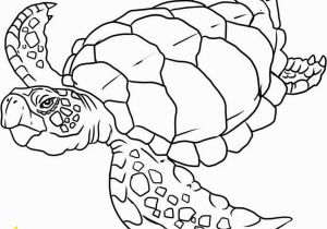 Printable Animal Coloring Pages Pdf 28 Collection Of Ocean Coloring Pages Pdf