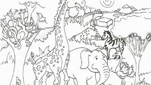 Printable Animal Coloring Pages Pdf Animal Coloring Pages Pdf at Coloring Book Line Printable Coloring