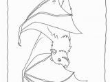 Printable Bat Coloring Pages Bat Coloring Pages Fruit Bat From Our Bat Coloring