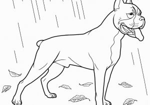 Printable Boxer Dog Coloring Pages Dog Coloring Pages forcoloringpages Color Sheets