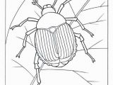 Printable Bug Coloring Pages Bugs Bunny Coloring Pages Awesome Coloring Pages for Girls Lovely