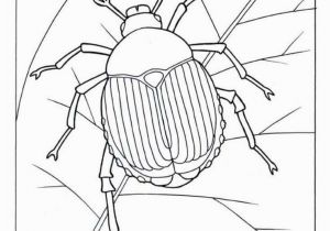Printable Bug Coloring Pages Bugs Bunny Coloring Pages Awesome Coloring Pages for Girls Lovely