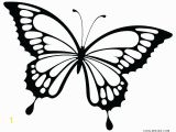 Printable butterfly Coloring Pages butterfly Coloring Pages Printable butterfly Coloring Page Coloring