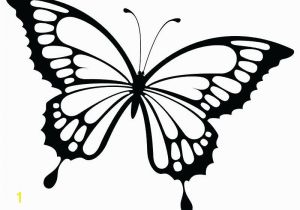 Printable butterfly Coloring Pages butterfly Coloring Pages Printable butterfly Coloring Page Coloring