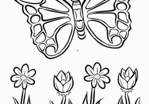 Printable butterfly Coloring Pages Free butterfly Coloring Page