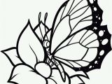 Printable butterfly Coloring Pages Free Printable butterfly Coloring Pages Diyouth