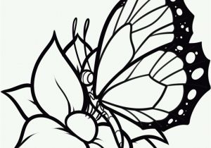 Printable butterfly Coloring Pages Free Printable butterfly Coloring Pages Diyouth