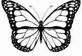 Printable butterfly Coloring Pages Free Printable butterfly Coloring Pages for Kids In 2018