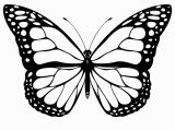 Printable butterfly Coloring Pages Free Printable butterfly Coloring Pages for Kids In 2018