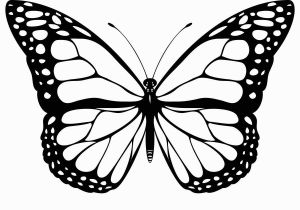 Printable butterfly Coloring Pages Free Printable butterfly Coloring Pages for Kids In 2018