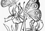 Printable butterfly Coloring Pages Printable butterfly Coloring Pages for Kids