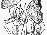 Printable butterfly Coloring Pages Printable butterfly Coloring Pages for Kids