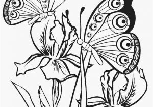 Printable butterfly Coloring Pages Printable butterfly Coloring Pages for Kids