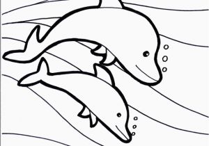 Printable Coloring Pages Dolphin Printable Dolphin Coloring Pages Free Printable Dolphin