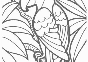 Printable Coloring Pages for Alzheimer S Patients Parrot Coloring Page Print Color Fun