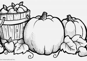 Printable Coloring Pages for Preschoolers Pretty Coloring Pages Printable Preschool Coloring Pages Fresh Fall