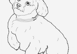 Printable Coloring Pages Of Animals Free Coloring Pages Printable Animals Fresh Free Printable Coloring