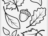 Printable Coloring Pages Of Squirrels â· Free Collection 40 Printable to Paint