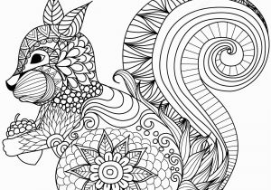 Printable Coloring Pages Of Squirrels Lovely Squirrel Zentangle Coloring Page