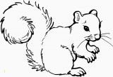 Printable Coloring Pages Of Squirrels Printable Coloring Pages Squirrels Beautiful Free Coloring Pages