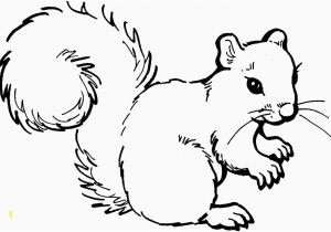 Printable Coloring Pages Of Squirrels Printable Coloring Pages Squirrels Beautiful Free Coloring Pages