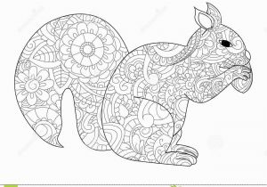 Printable Coloring Pages Of Squirrels Squirrel with Nut Coloring Raster for Adults Stock Illustration