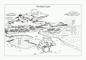 Printable Coloring Pages Of the Water Cycle Coloring Page Water Cycle Coloring Home