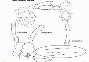 Printable Coloring Pages Of the Water Cycle Simple Water Cycle Coloring Page