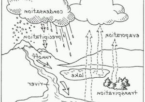 Printable Coloring Pages Of the Water Cycle the Best Water Cycle Coloring Page Pdf Coloring