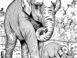 Printable Elephant Coloring Pages Elephant Coloring Pages for Adults New Elephant Coloring Page Fresh