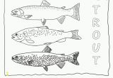 Printable Fishing Coloring Pages Freshwater Fish Coloring Pages Perfect Coloring Freshwater