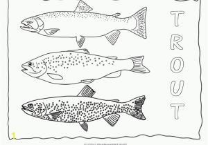 Printable Fishing Coloring Pages Freshwater Fish Coloring Pages Perfect Coloring Freshwater