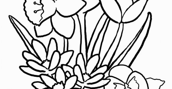 Printable Flower Coloring Pages for Kids Free Printable Flower Coloring Pages for Kids Best