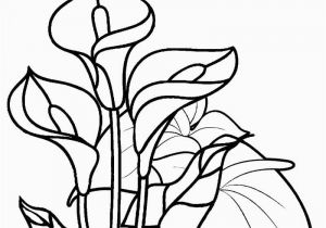 Printable Flower Coloring Pages for Kids Free Printable Flower Coloring Pages for Kids