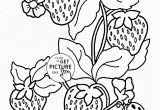 Printable Fruit Coloring Pages Ladybug and Strawberries Coloring Page for Kids Fruits