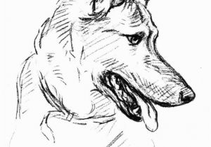 Printable German Shepherd Dog Coloring Pages Baby German Shepherd Coloring Pages › Mrengmengnk