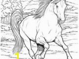 Printable Horse Jumping Coloring Pages 106 Best Printable Horses & Donkeys Images On Pinterest