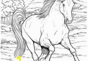 Printable Horse Jumping Coloring Pages 106 Best Printable Horses & Donkeys Images On Pinterest