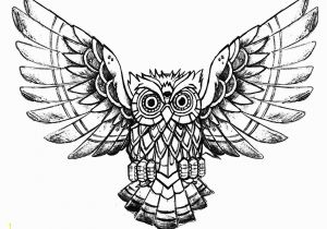 Printable Owl Coloring Pages 14 Beautiful Printable Owl Coloring Pages