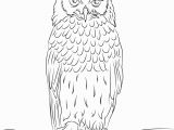 Printable Owl Coloring Pages 26 Owl Coloring Pages for Girls Free