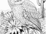 Printable Owl Coloring Pages for Adults 10 Difficult Owl Coloring Page for Adults