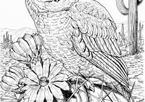 Printable Owl Coloring Pages for Adults 10 Difficult Owl Coloring Page for Adults
