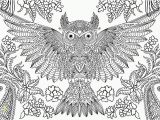 Printable Owl Coloring Pages for Adults Free Owl Adult Coloring Pages to Print Coloring Home