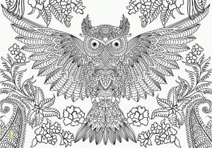 Printable Owl Coloring Pages for Adults Free Owl Adult Coloring Pages to Print Coloring Home