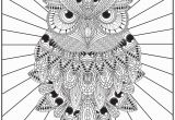 Printable Owl Coloring Pages for Adults Free Owl Adult Coloring Pages to Print Coloring Home