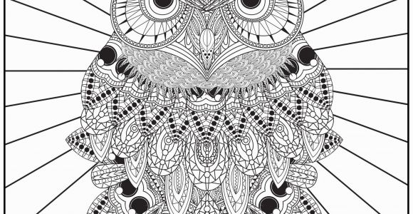 Printable Owl Coloring Pages for Adults Free Owl Adult Coloring Pages to Print Coloring Home