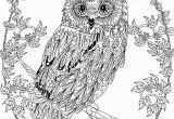 Printable Owl Coloring Pages for Adults Owl Coloring Pages for Adults Free Detailed Owl Coloring