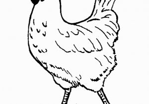 Printable Rooster Coloring Pages Free Coloring Hen – Pusat Hobi